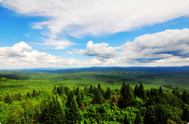 2025Ї֘I̼Rlչ棺Cc