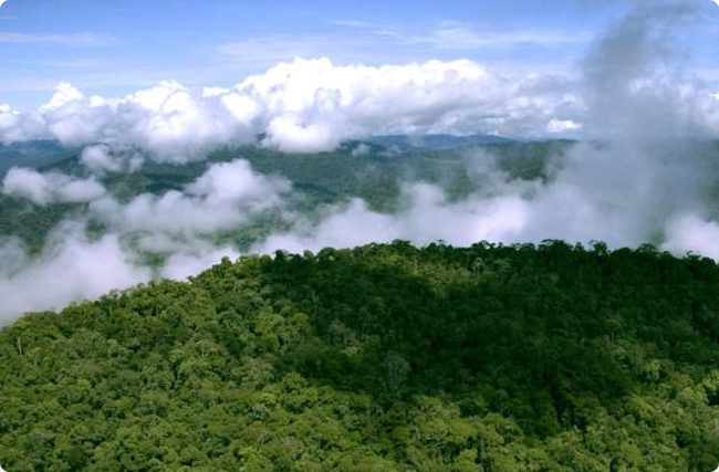 |ρ羳̼W(wng)j(lu)(dng)Ŀ(bio)20301000f(wn)/